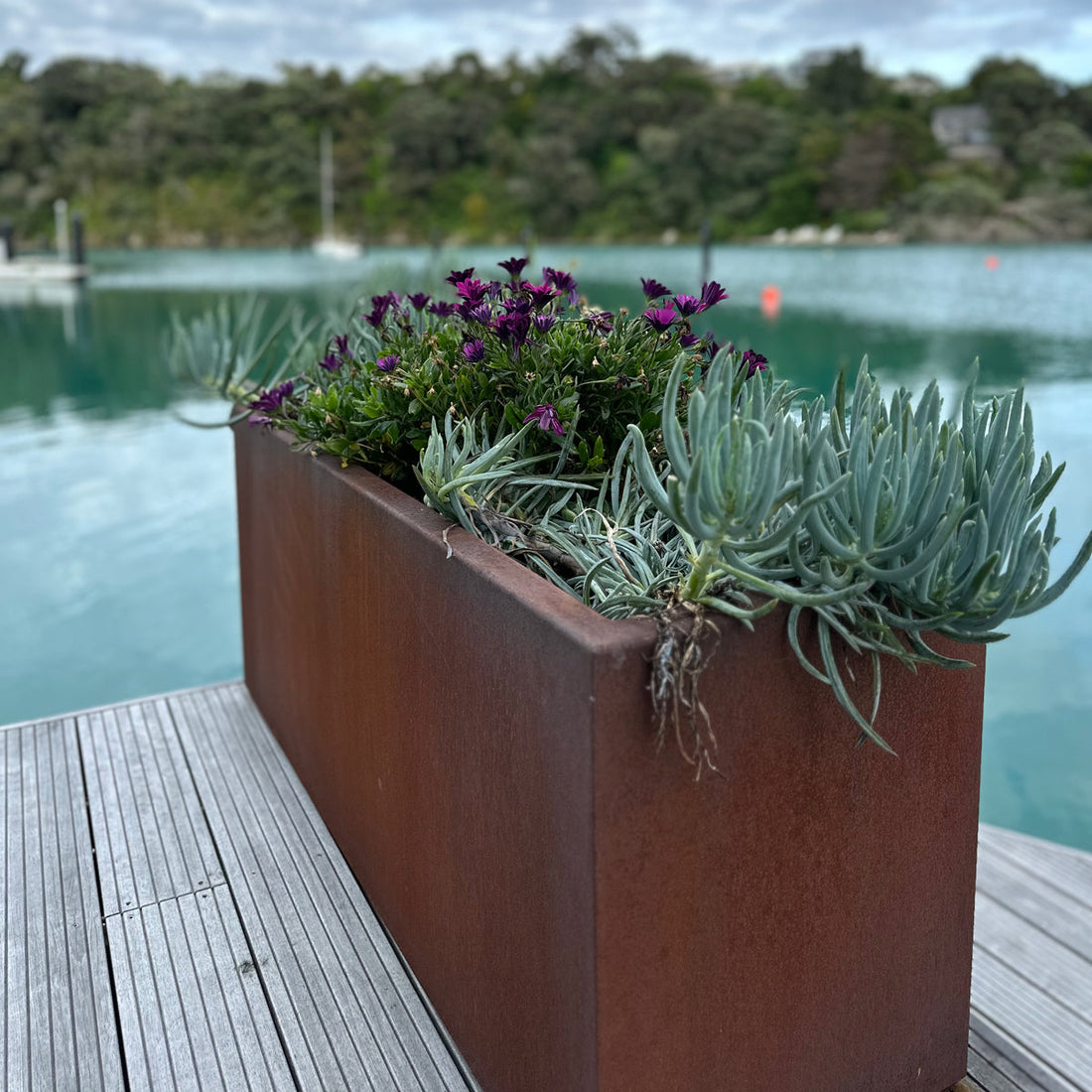Designing Winter Gardens with Corten Steel Planters