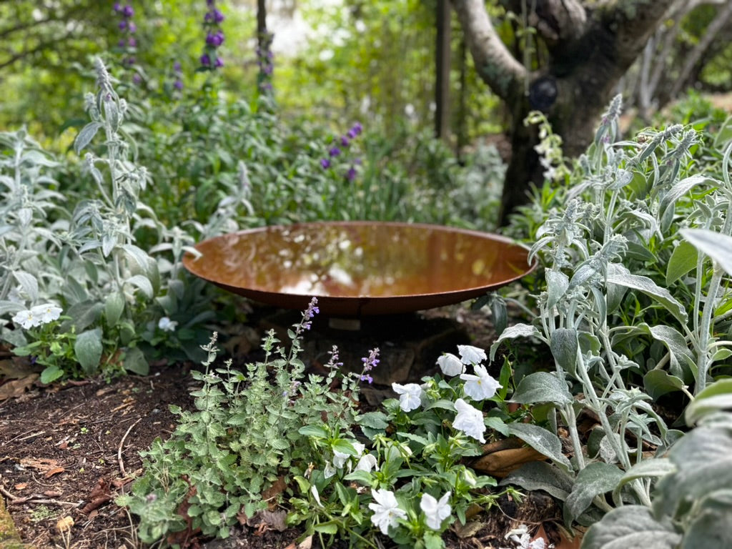 The Estella Corten Water Bowl