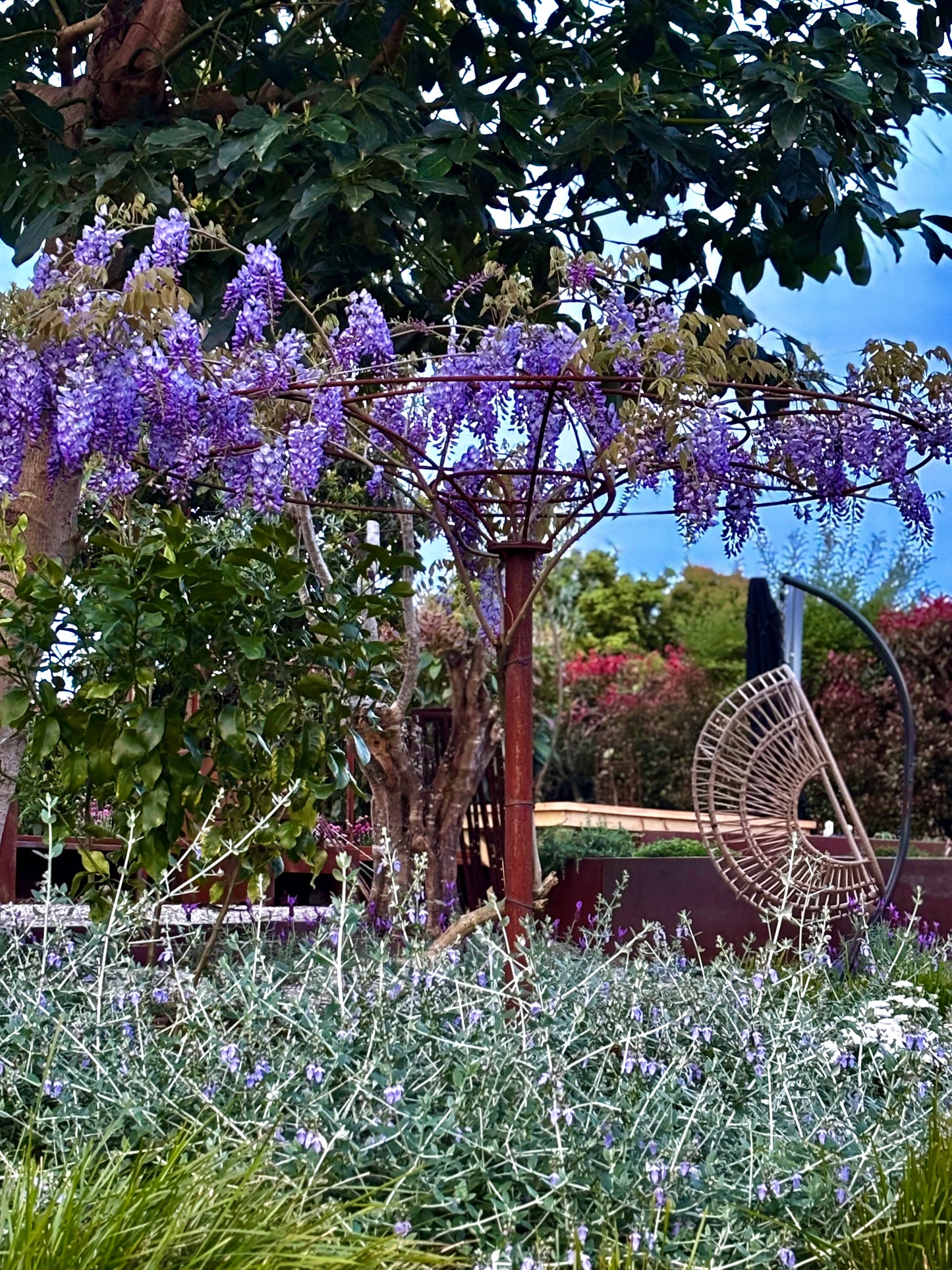 Corten Wisteria Umbrella
