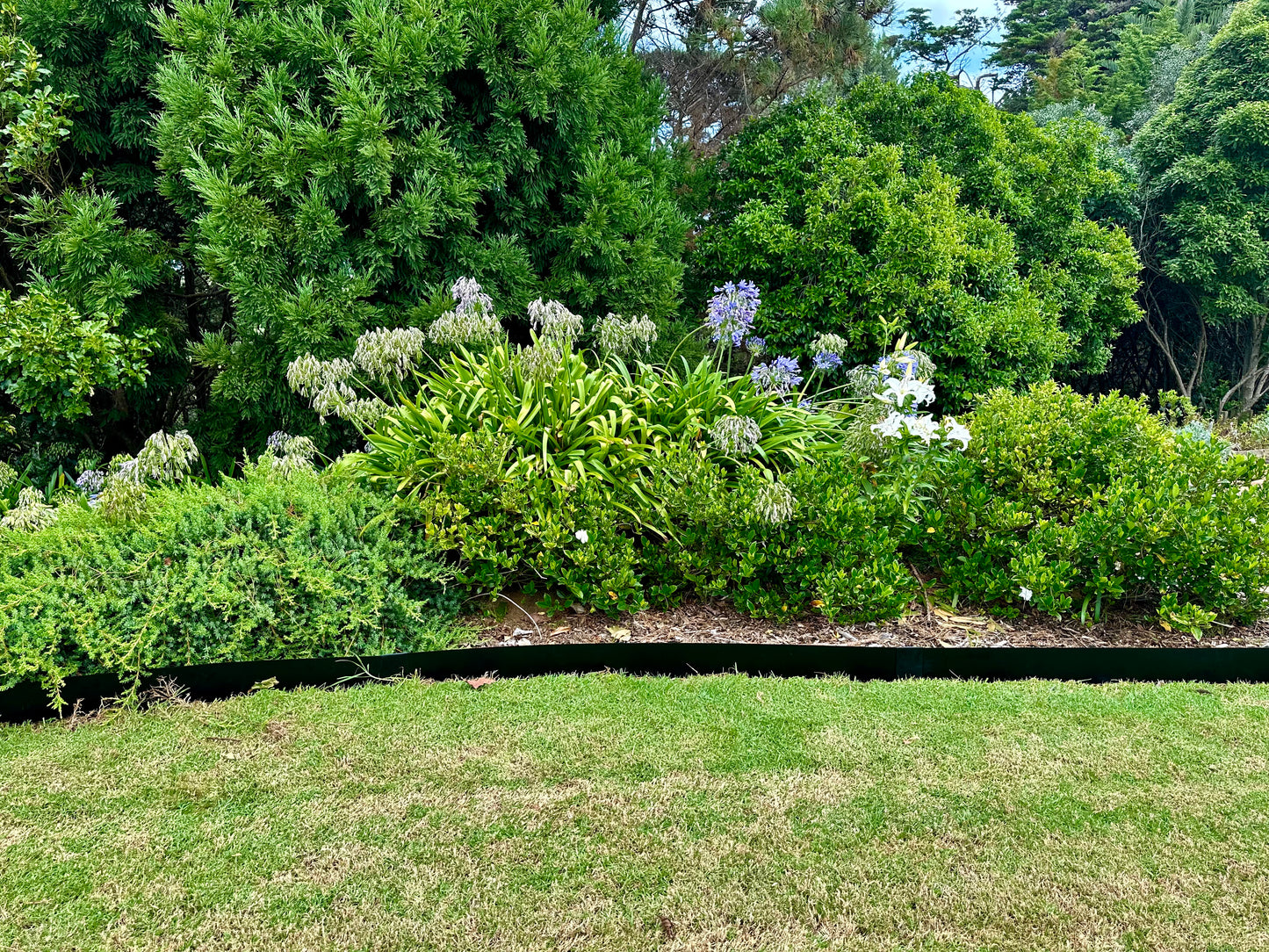 Black Aluminium Curvable Garden Edging