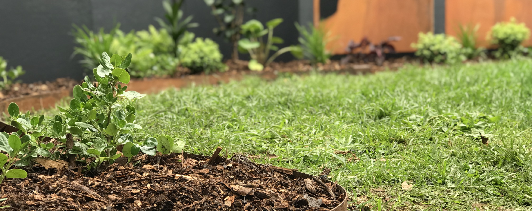 corten garden edging