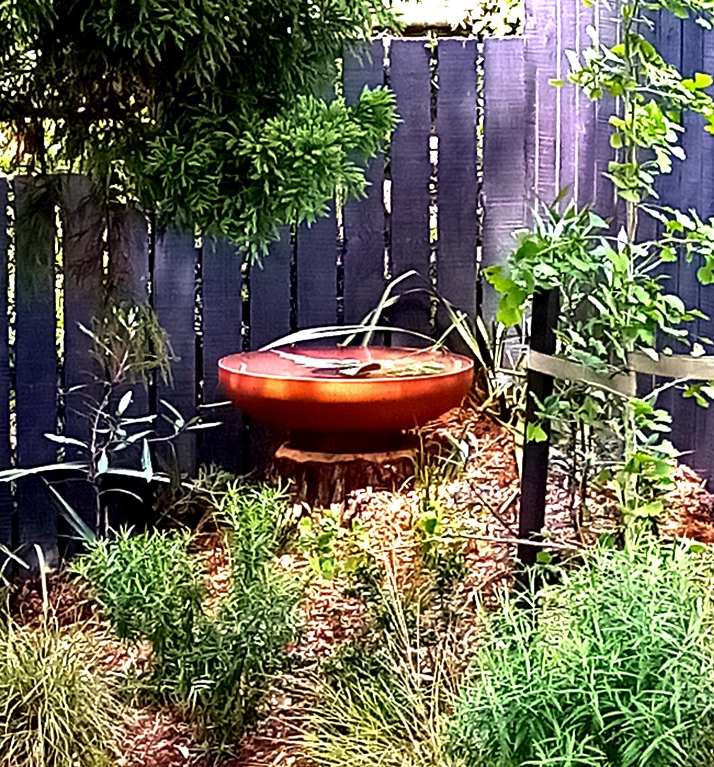 Fire Bowl 900 Deep Bowl