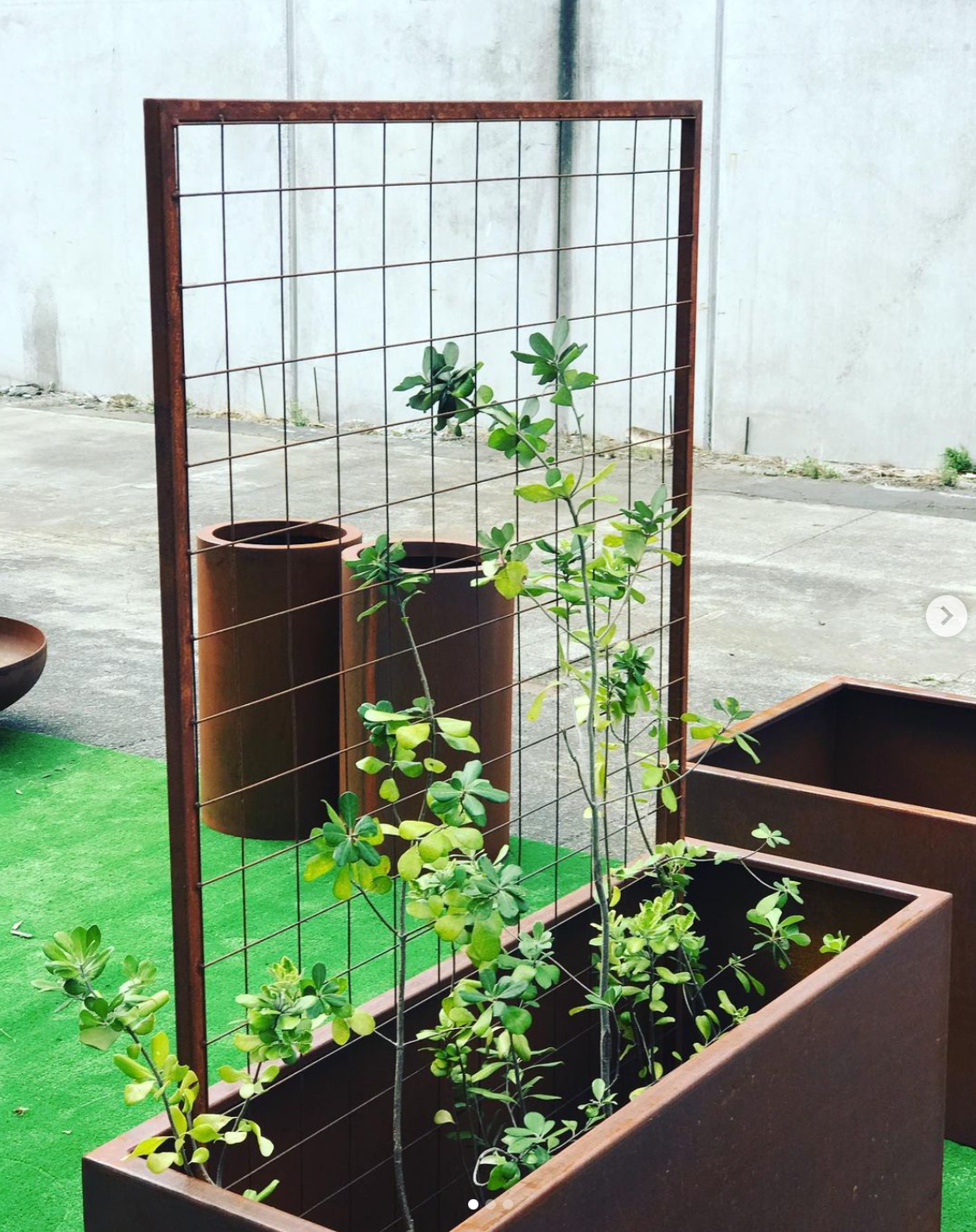 Trellis By Tanz