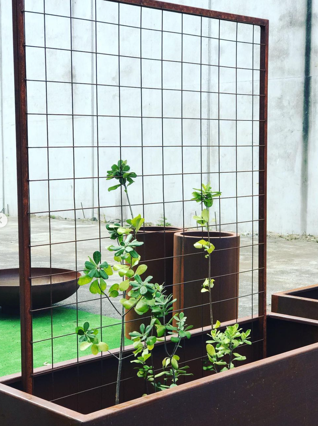 Trellis By Tanz