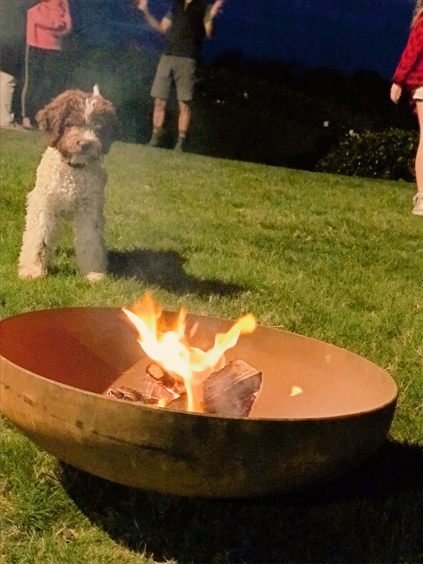 Fire Bowl 600 & 750 Deep Bowl