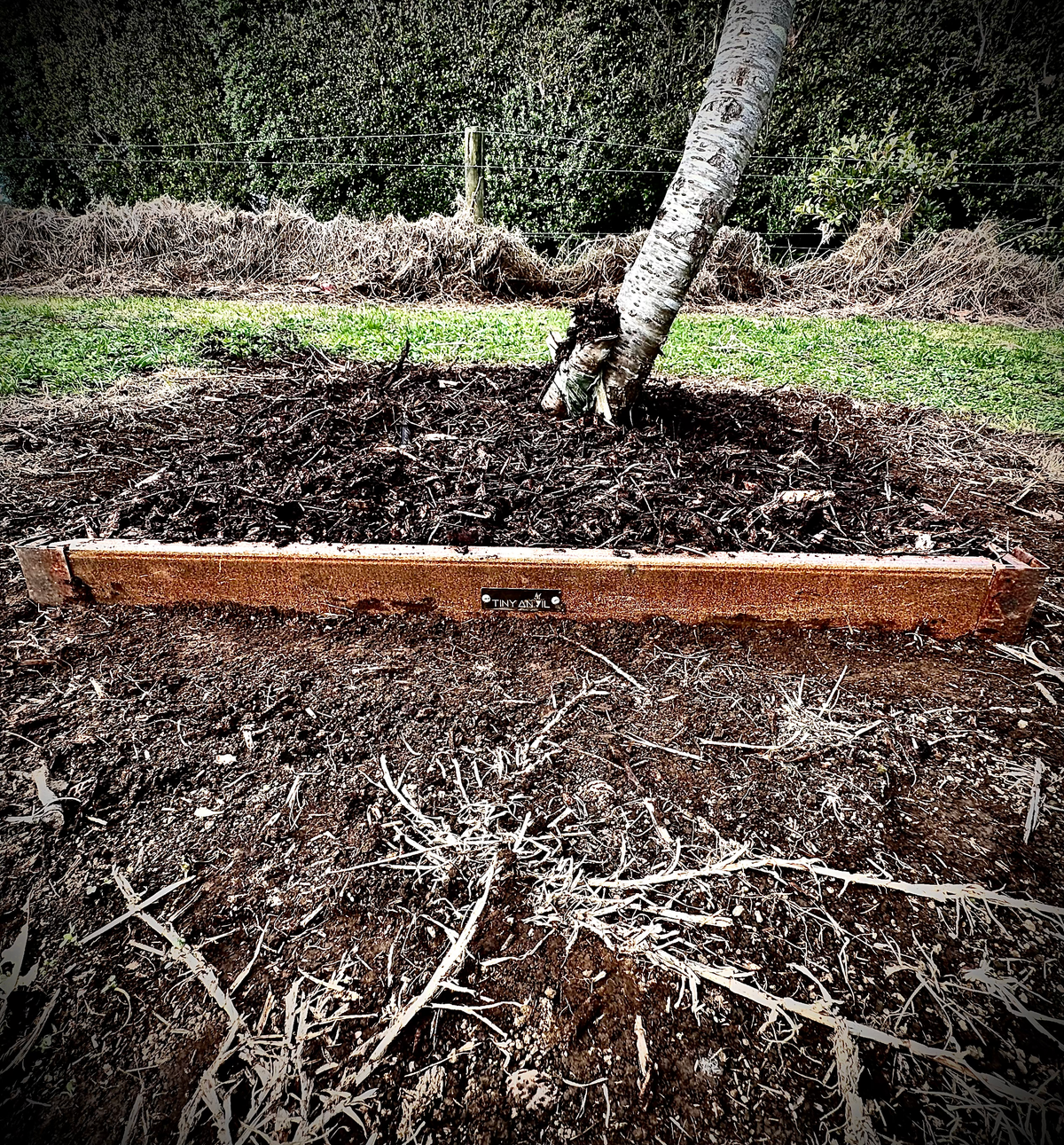 Frame your trees for a clean, sophisticated planted area – Tiny Anvil NZ