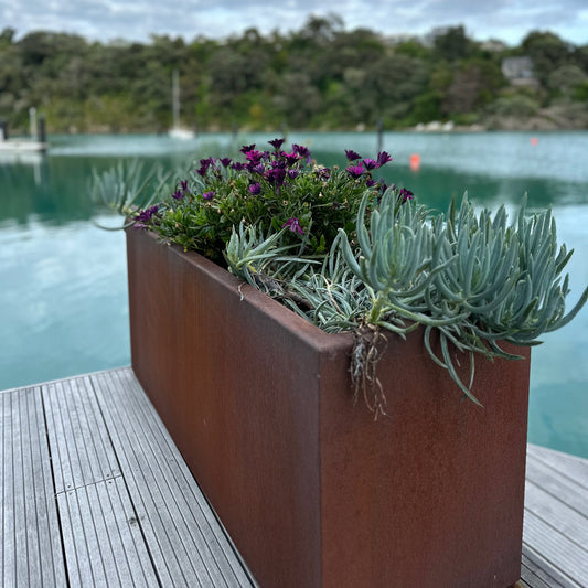 Designing Winter Gardens with Corten Steel Planters
