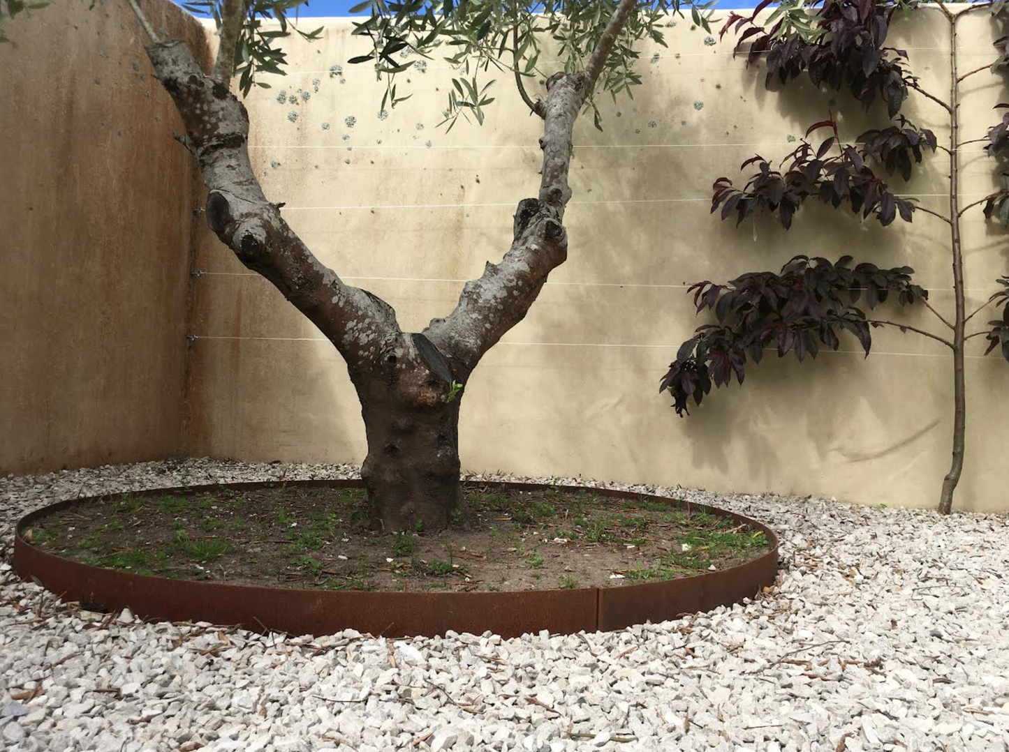 Corten Tree Rings