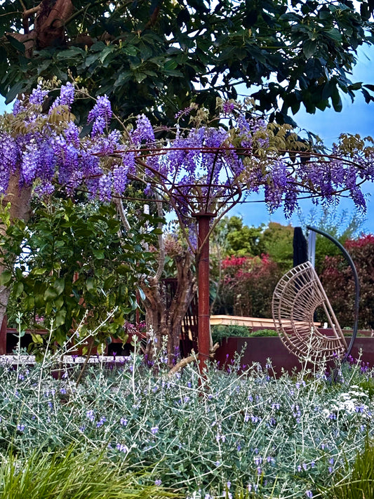 Corten Wisteria Umbrella