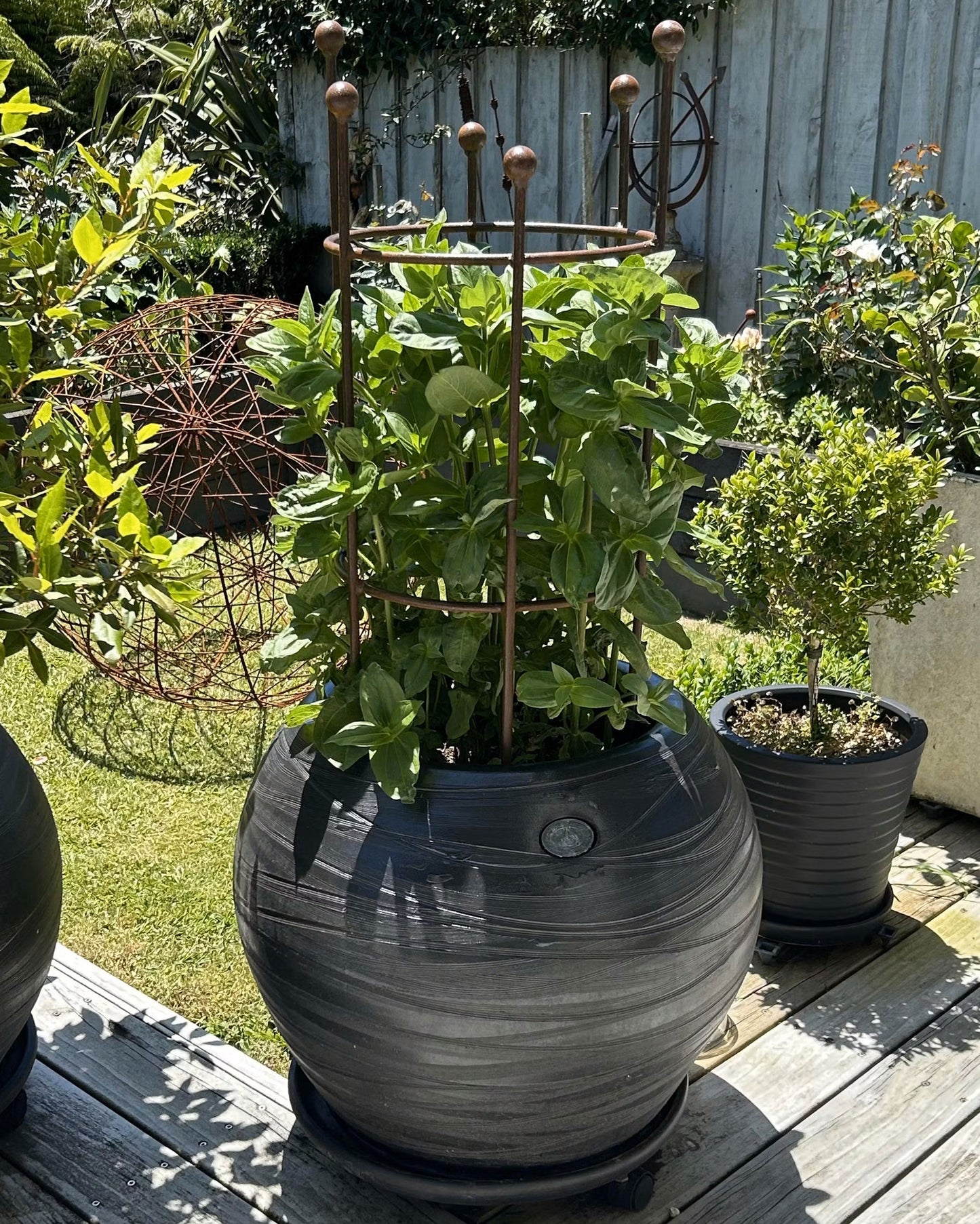 Column Plant Support