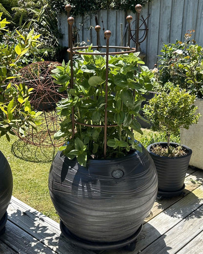 Column Plant Support