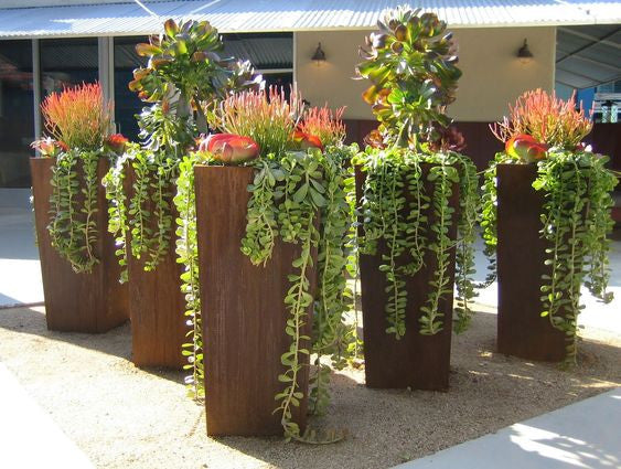 Corten Tapered Column