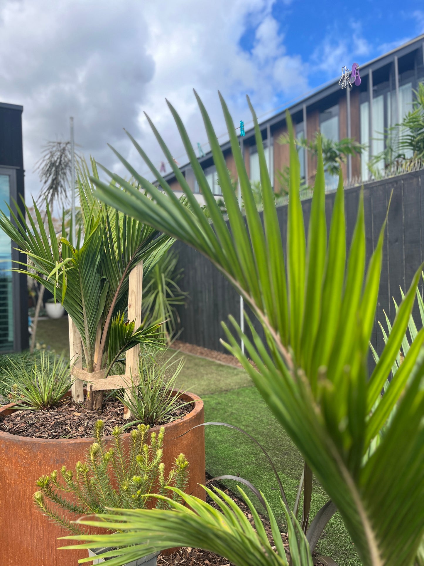 Bottomless Corten Cylinders