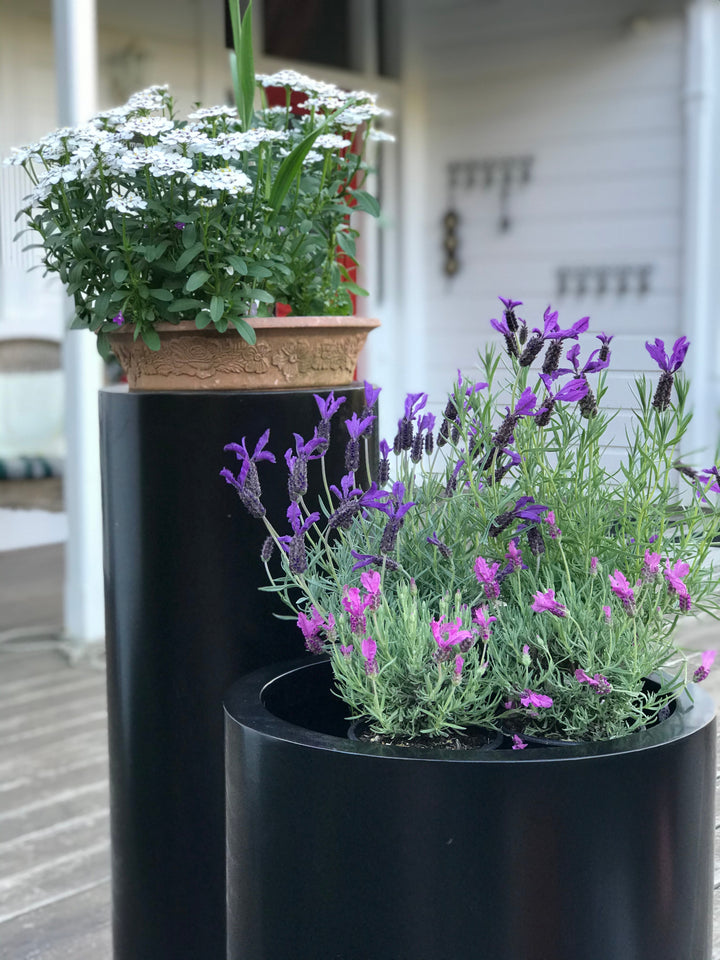 Planters Steel Coloured Galvanised Planter Boxes Garden Planters – Tiny ...