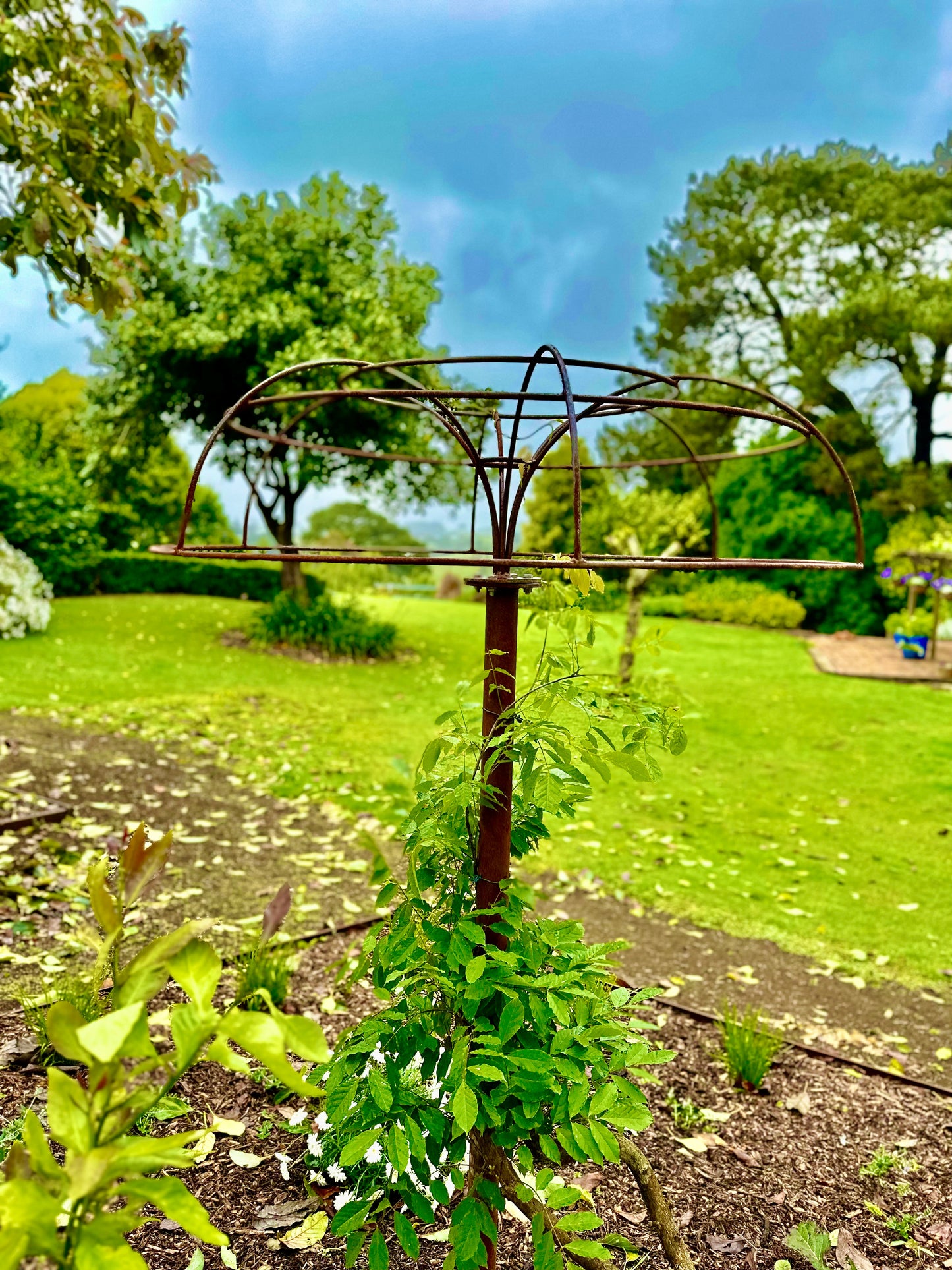 Corten wisteria umbrella - Orginal