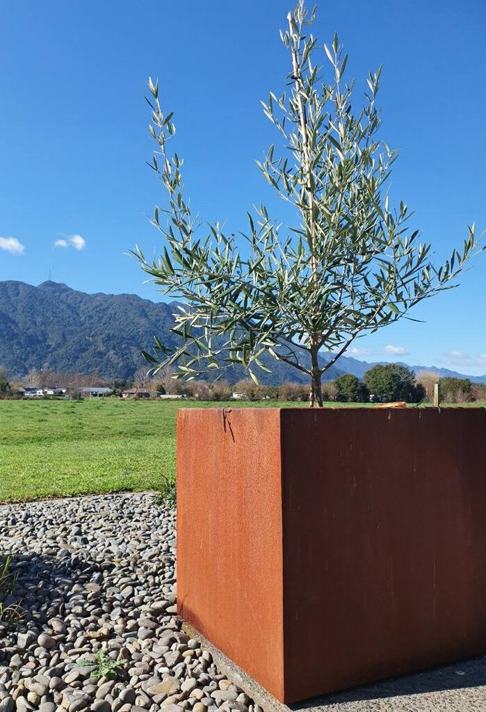 Corten Cube