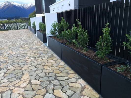 Premium Matte Black Aluminium Planter — Limited Release (1800mm Trough)